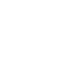 Solid Dark
